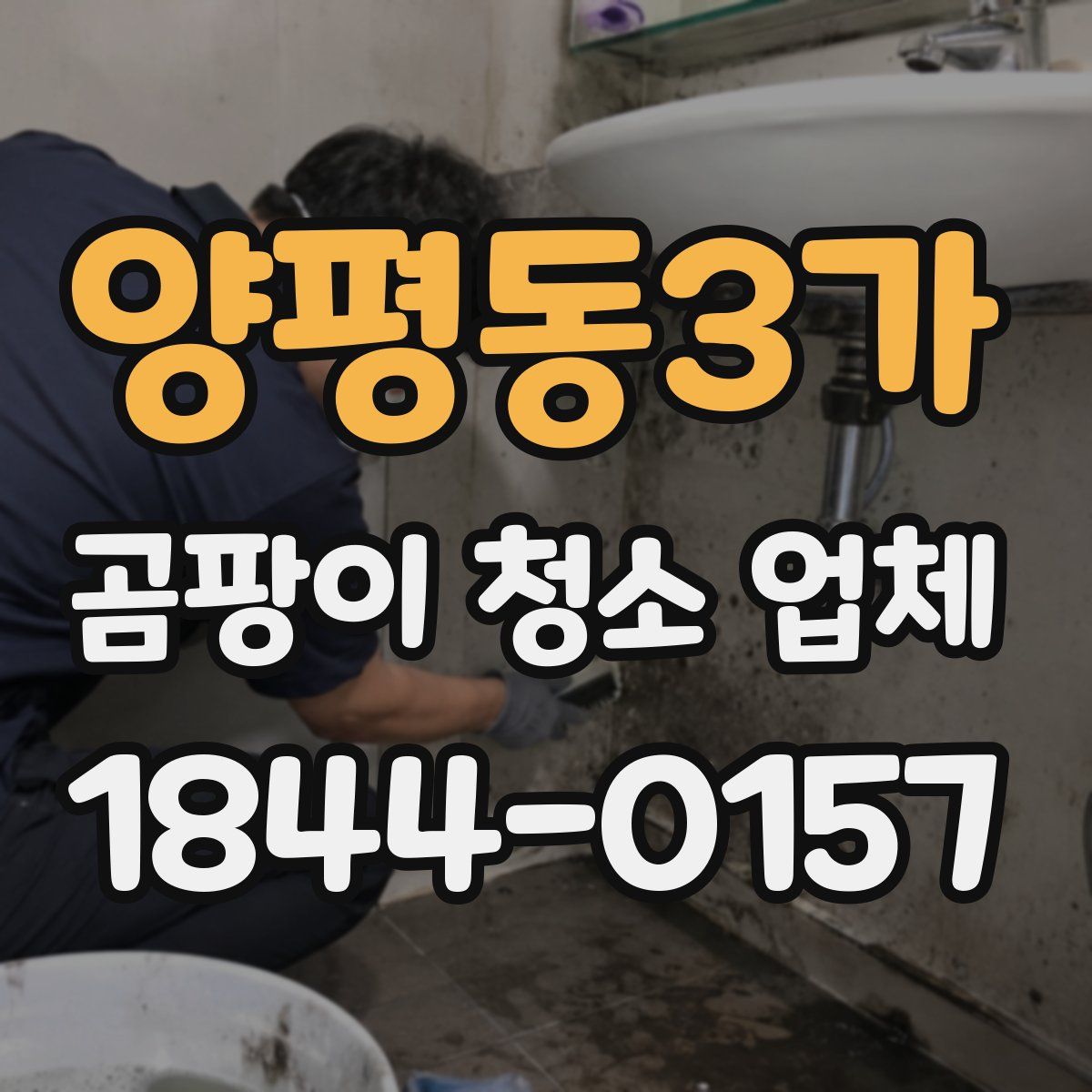 양평동3가 곰팡이 청소 업체