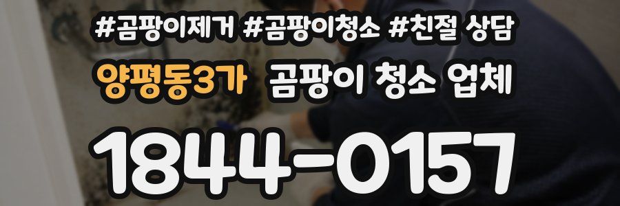 양평동3가 곰팡이 청소 업체