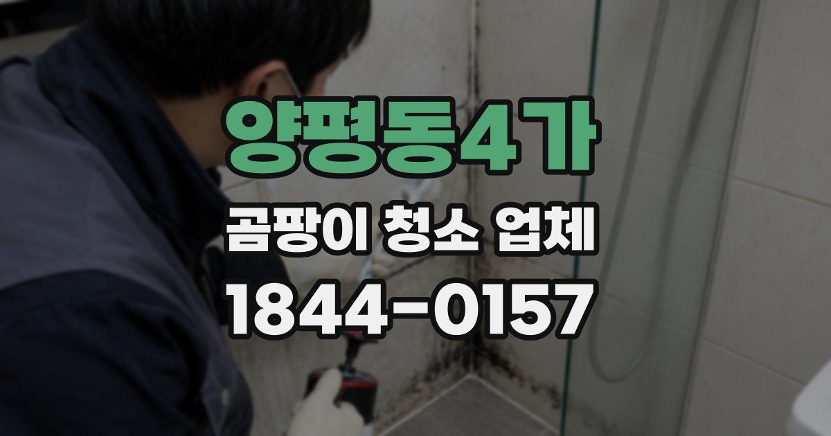 양평동4가 곰팡이 청소 업체