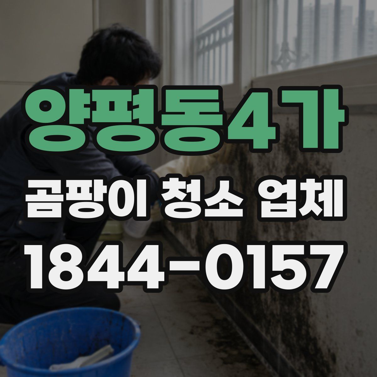 양평동4가 곰팡이 청소 업체