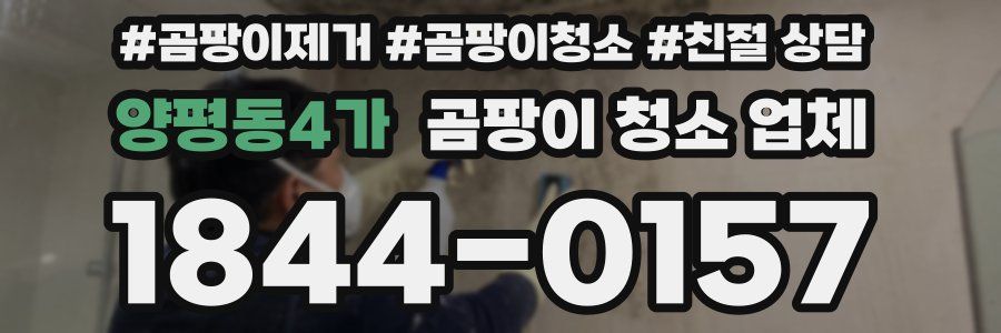양평동4가 곰팡이 청소 업체