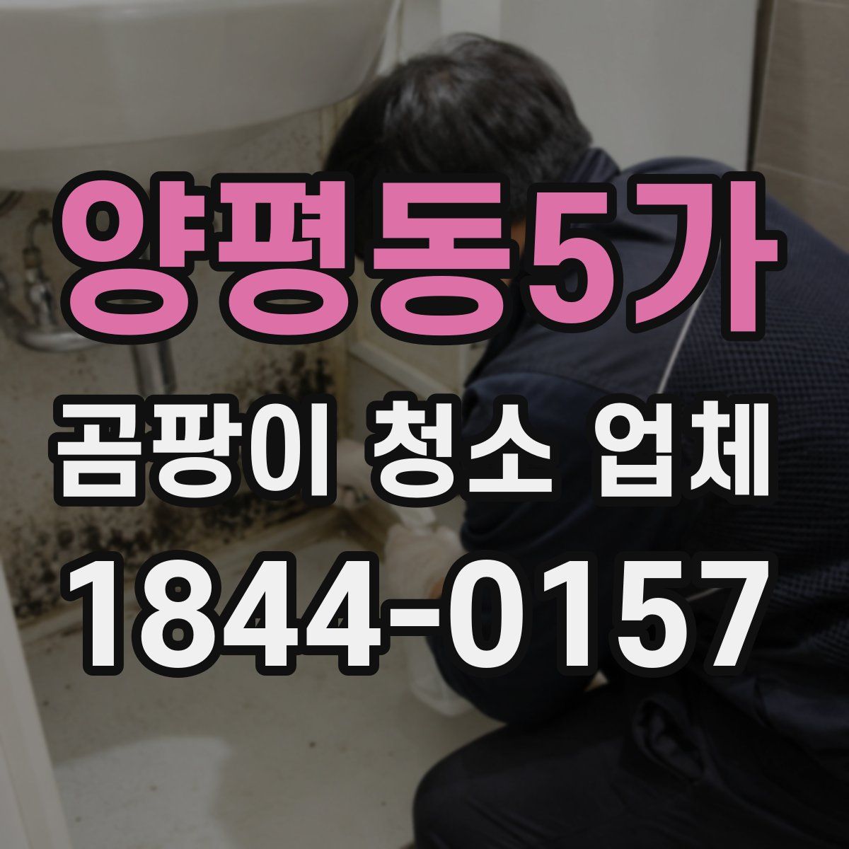 양평동5가 곰팡이 청소 업체
