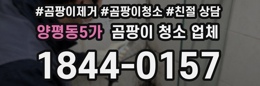 양평동5가 곰팡이 청소 업체