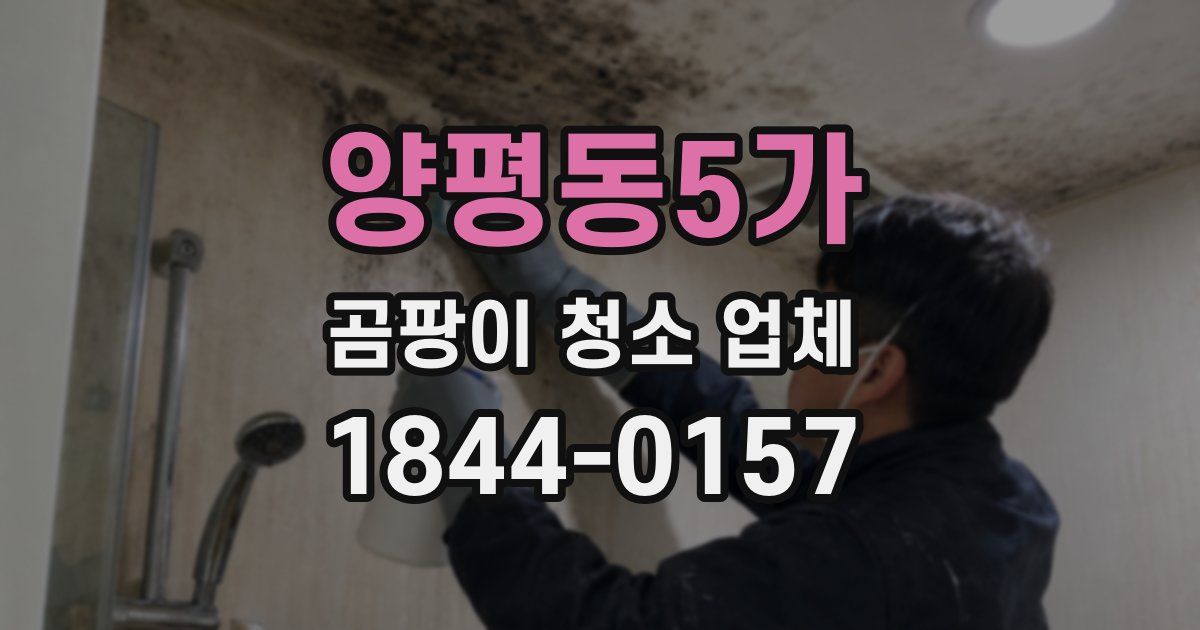 양평동5가 곰팡이 청소 업체
