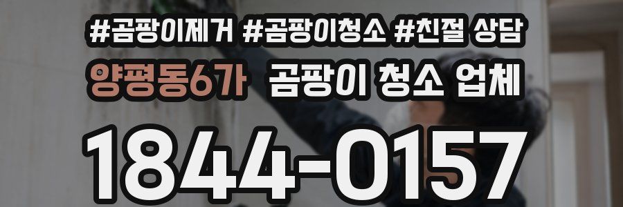 양평동6가 곰팡이 청소 업체