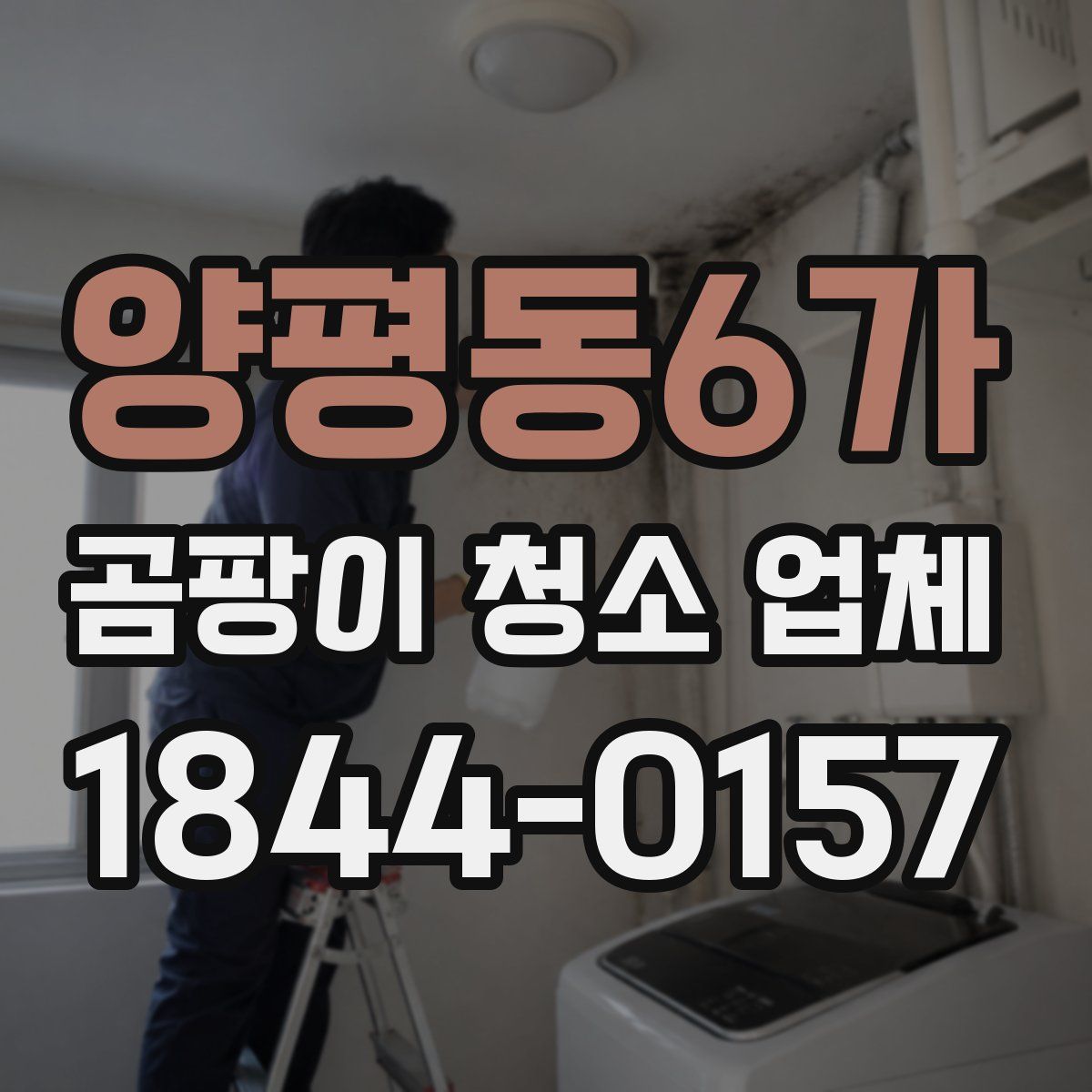양평동6가 곰팡이 청소 업체