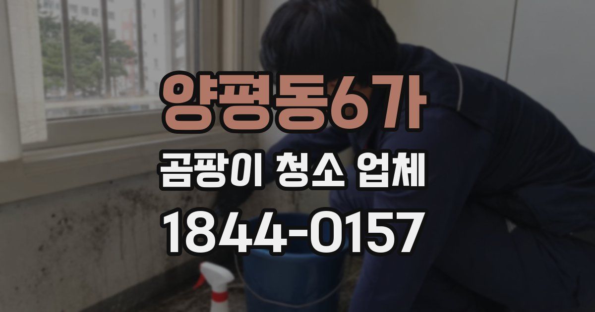 양평동6가 곰팡이 청소 업체