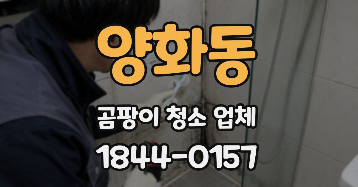 양화동 곰팡이 청소 업체