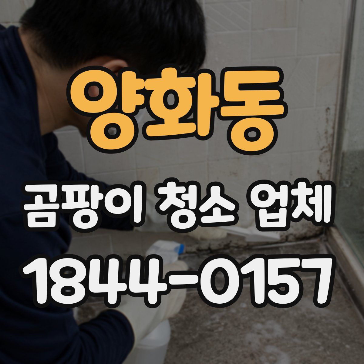 양화동 곰팡이 청소 업체
