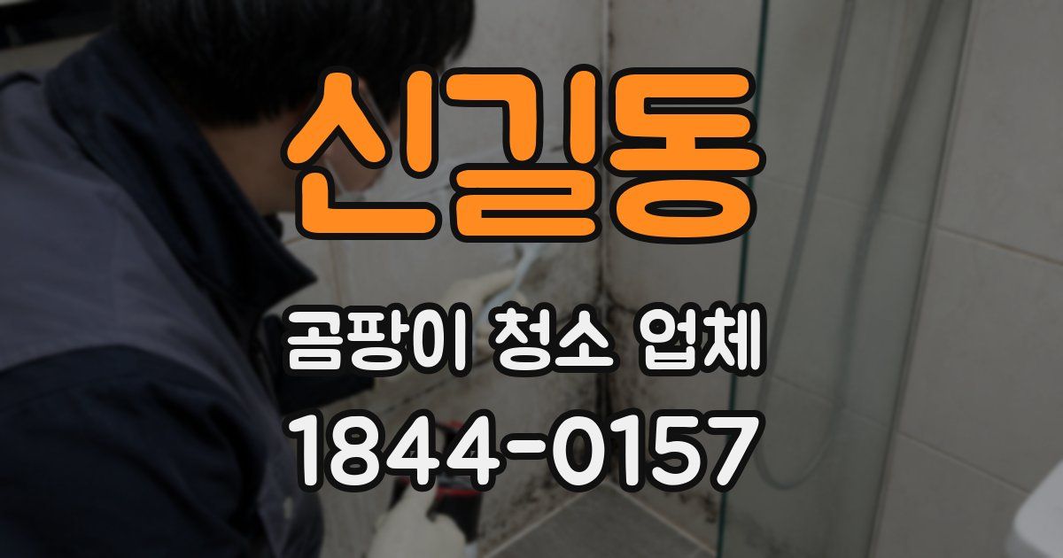 신길동 곰팡이 청소 업체