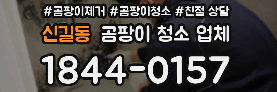 신길동 곰팡이 청소 업체