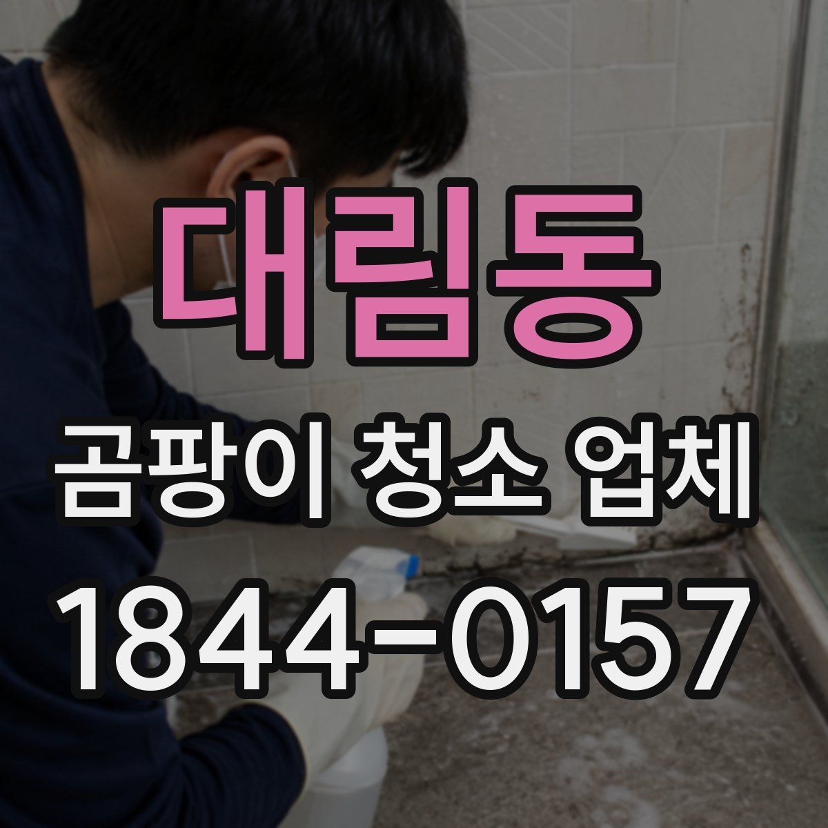 대림동 곰팡이 청소 업체