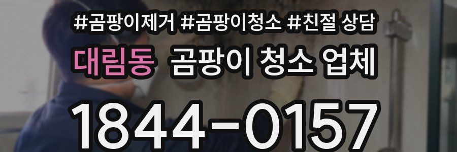 대림동 곰팡이 청소 업체
