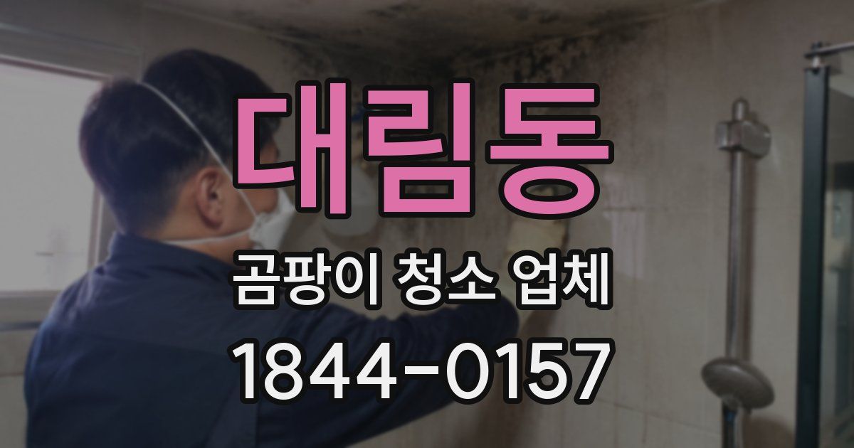 대림동 곰팡이 청소 업체