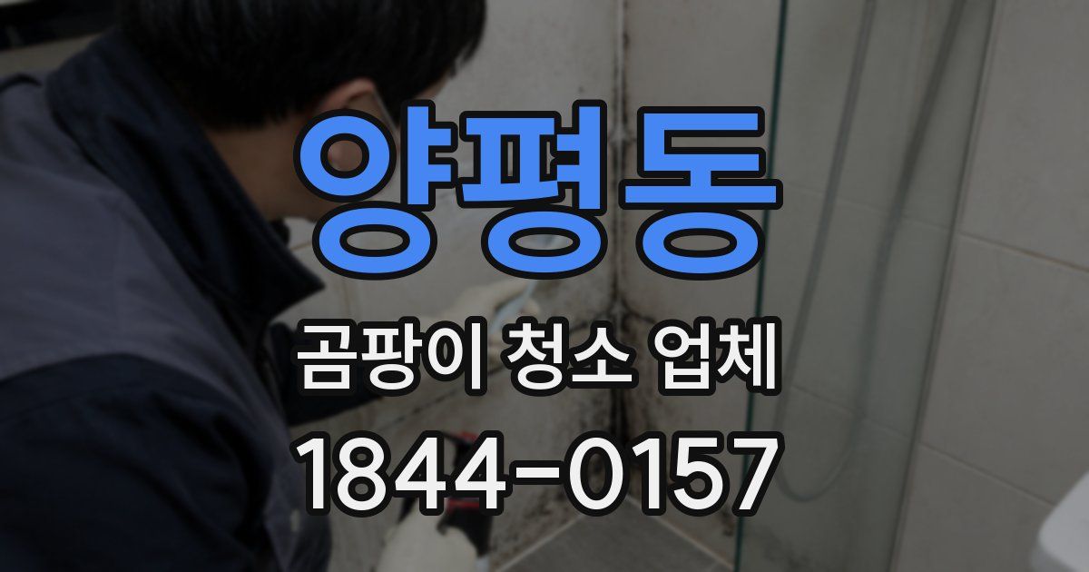 양평동 곰팡이 청소 업체