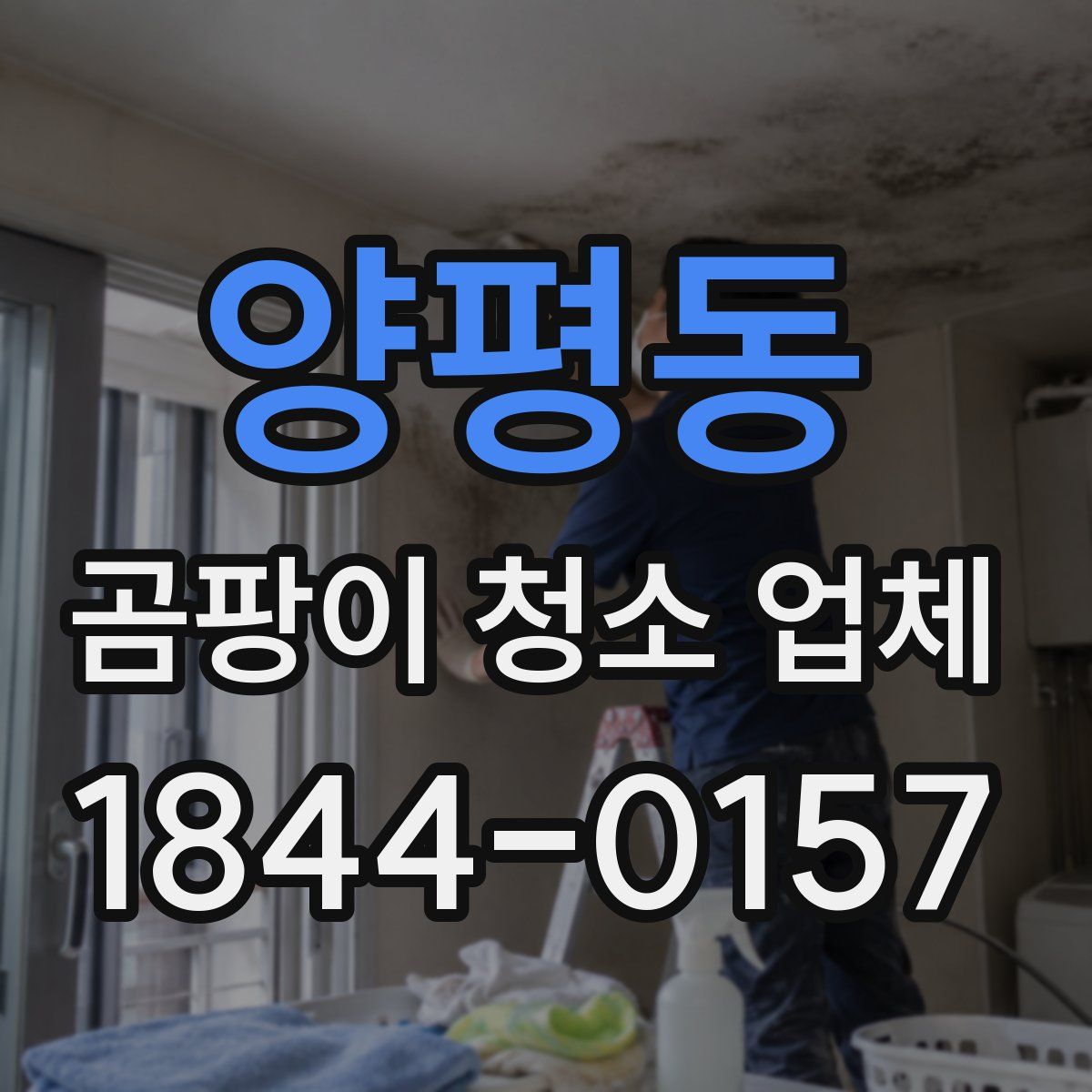 양평동 곰팡이 청소 업체