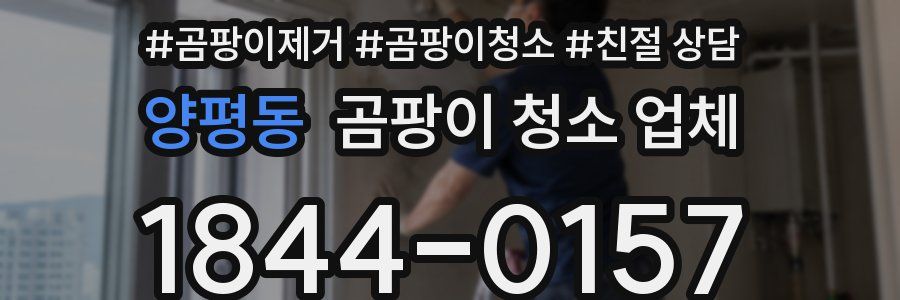 양평동 곰팡이 청소 업체