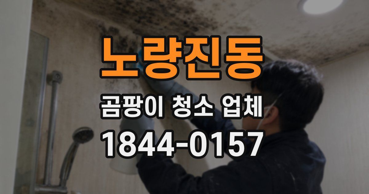 노량진동 곰팡이 청소 업체