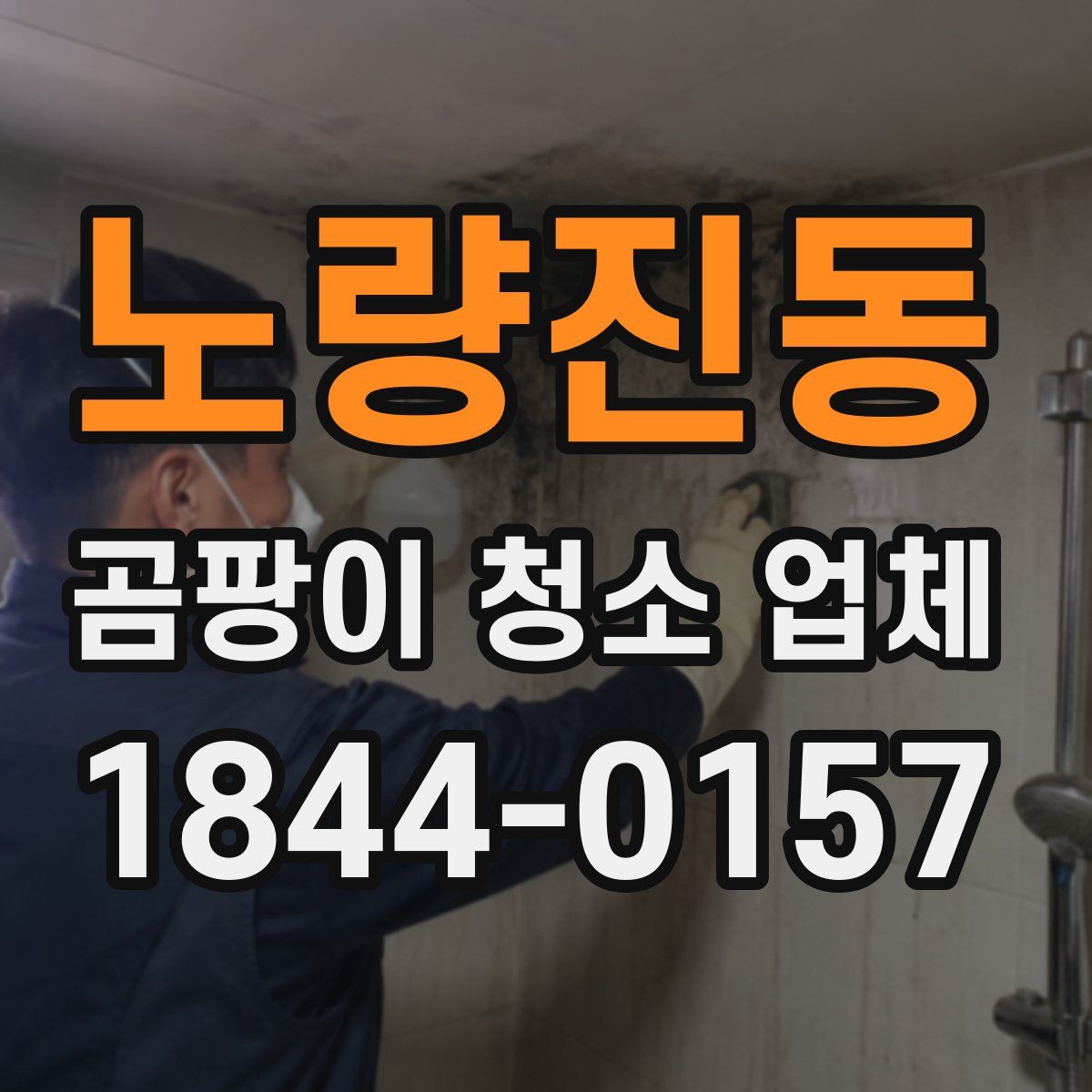 노량진동 곰팡이 청소 업체