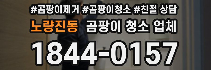 노량진동 곰팡이 청소 업체
