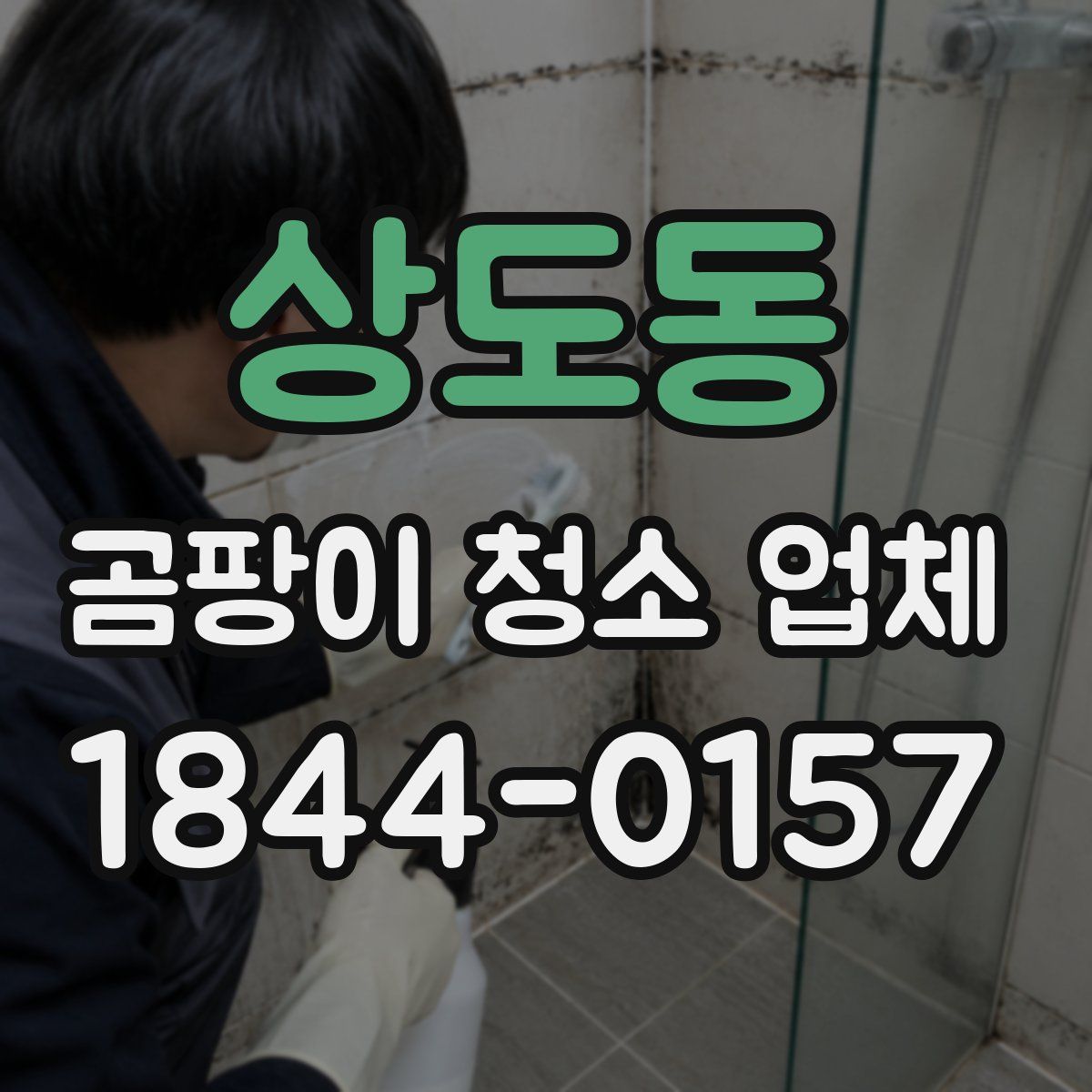 상도동 곰팡이 청소 업체