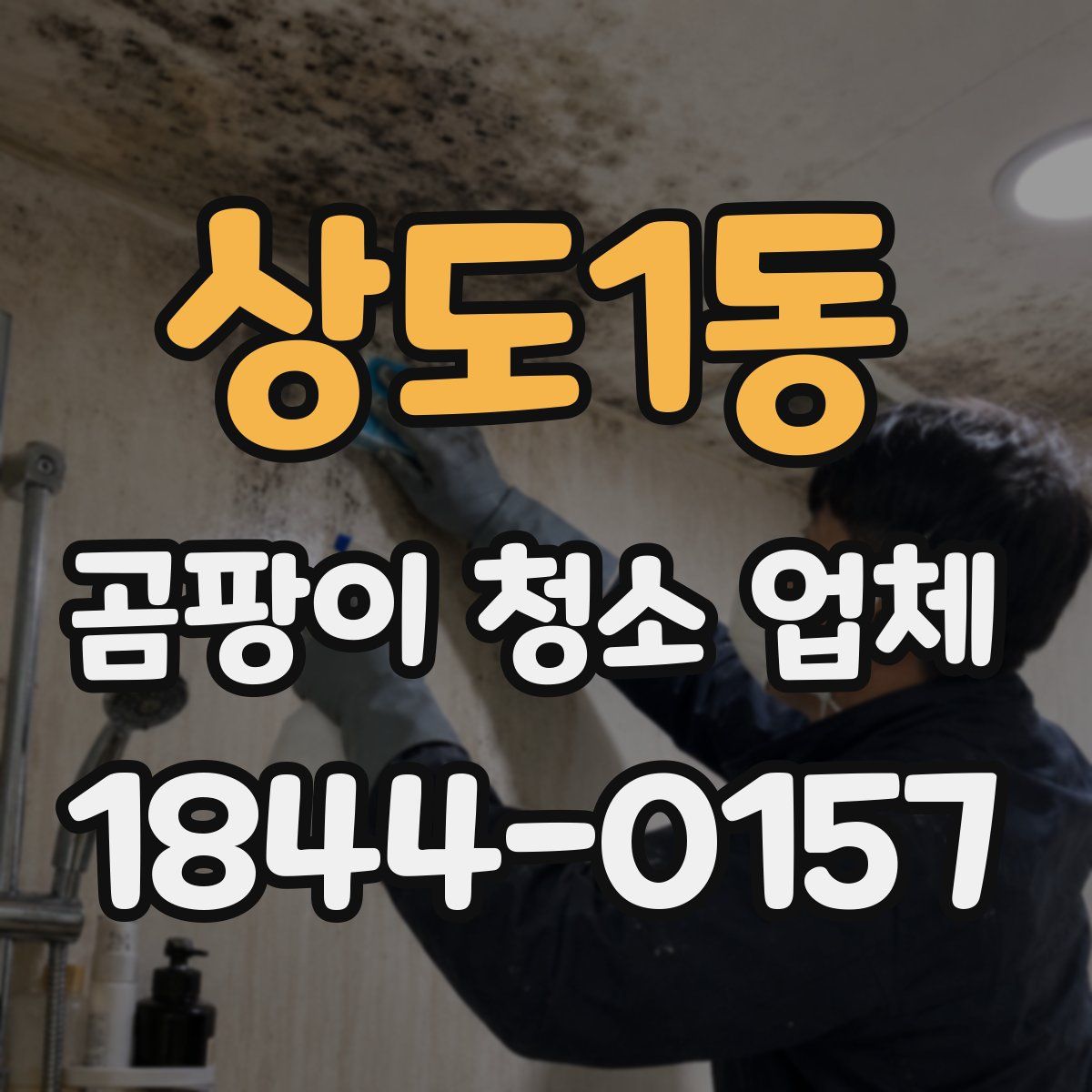 상도1동 곰팡이 청소 업체