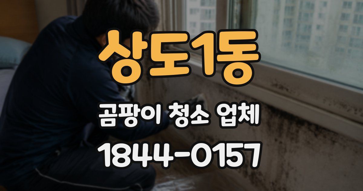 상도1동 곰팡이 청소 업체