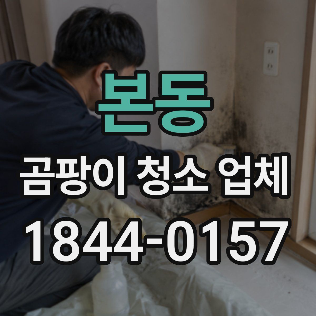 본동 곰팡이 청소 업체