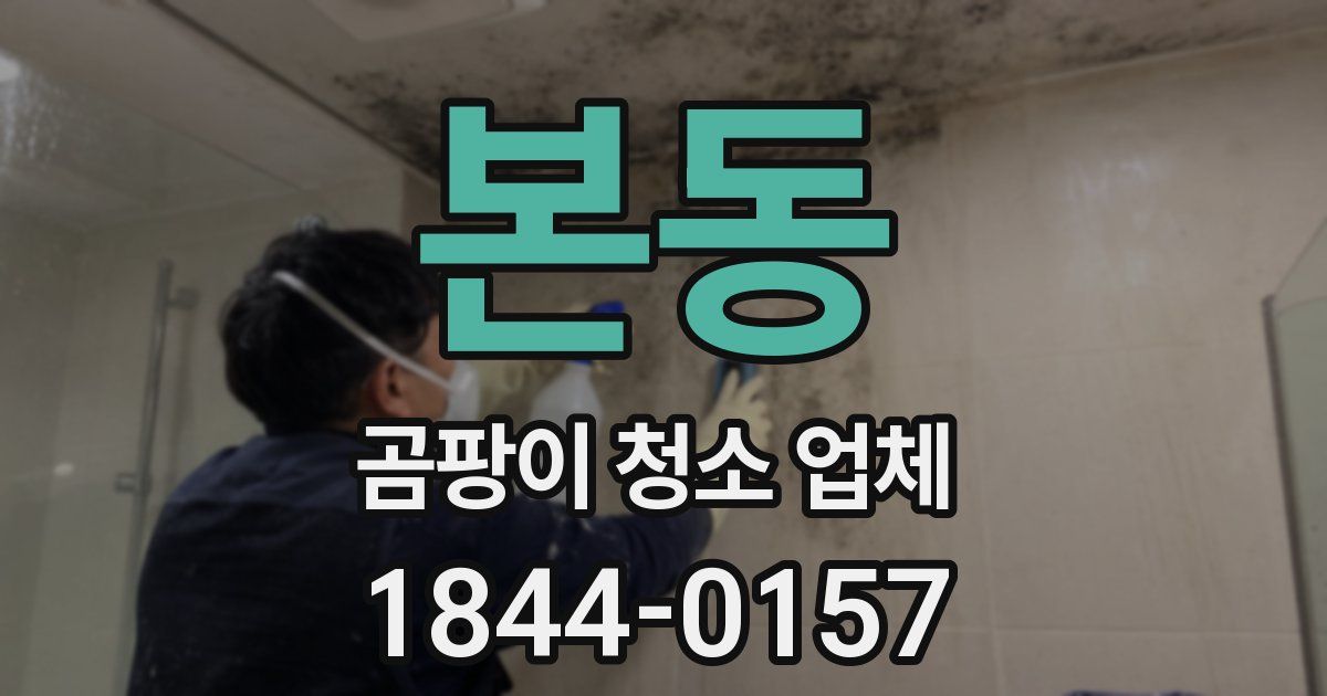 본동 곰팡이 청소 업체