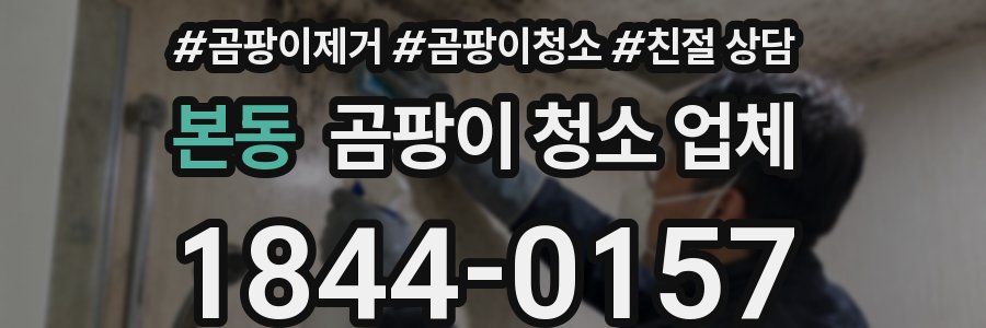 본동 곰팡이 청소 업체