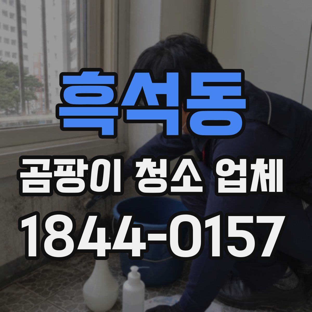 흑석동 곰팡이 청소 업체