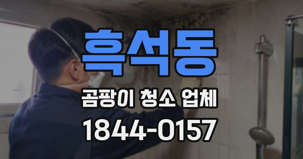 흑석동 곰팡이 청소 업체