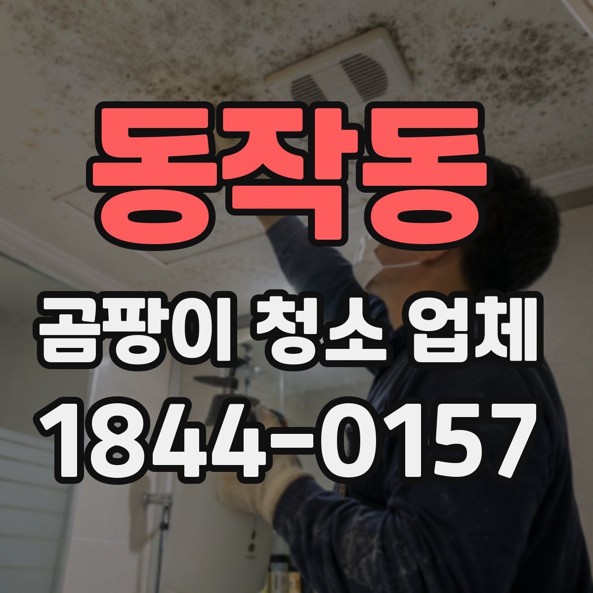 동작동 곰팡이 청소 업체