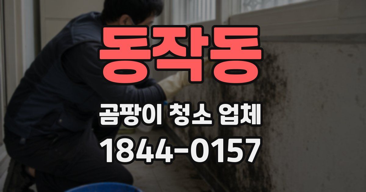 동작동 곰팡이 청소 업체