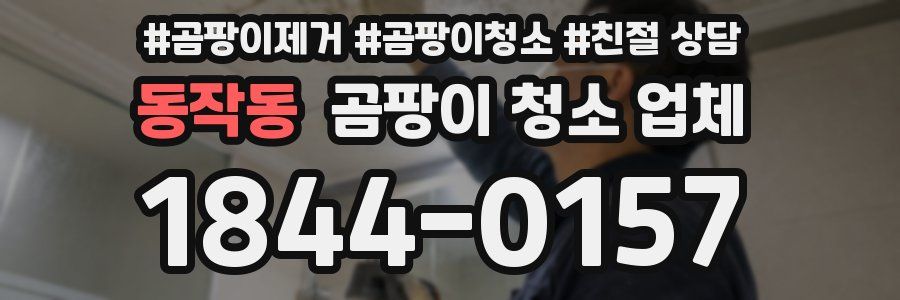동작동 곰팡이 청소 업체