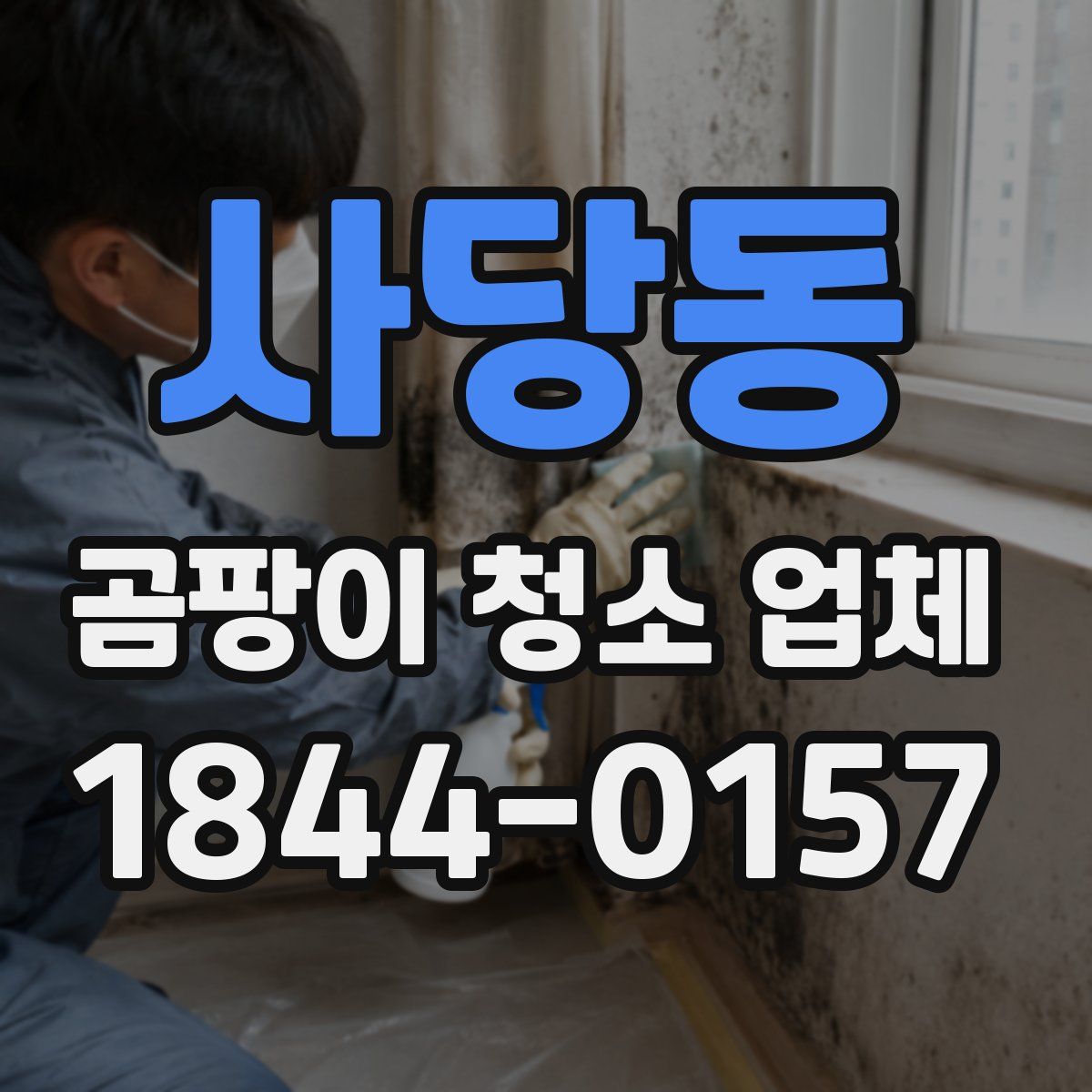 사당동 곰팡이 청소 업체
