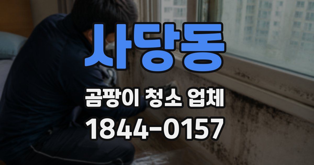 사당동 곰팡이 청소 업체