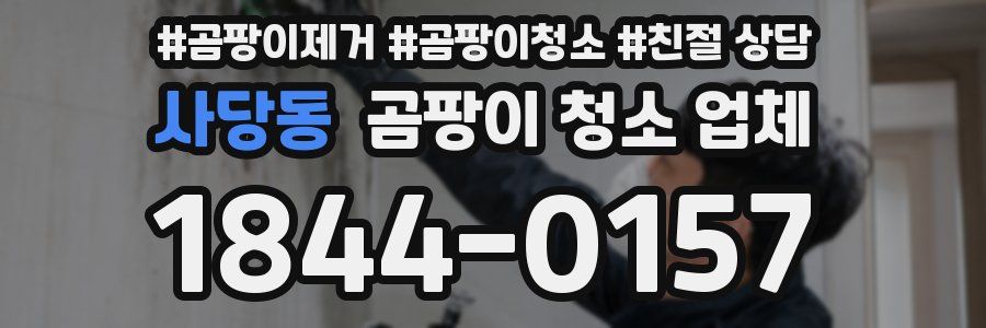 사당동 곰팡이 청소 업체