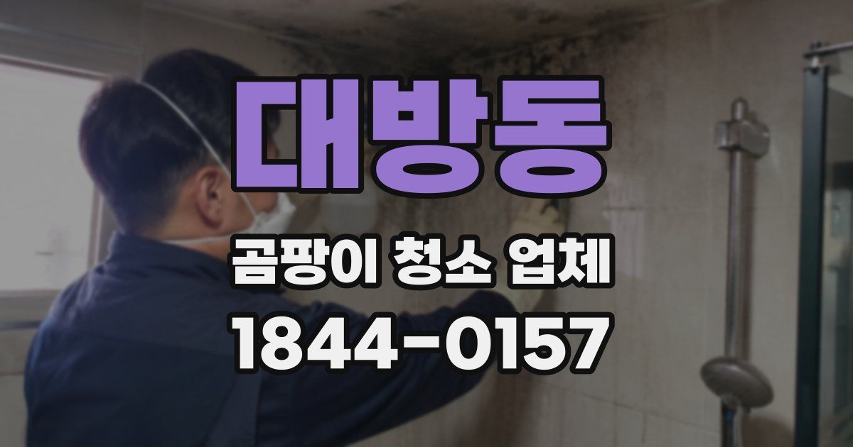 대방동 곰팡이 청소 업체