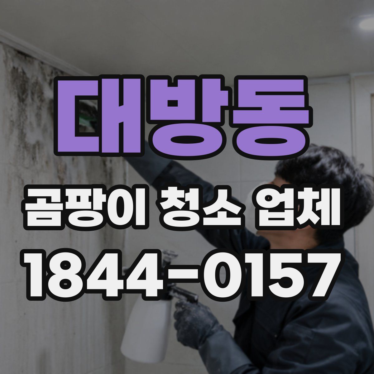 대방동 곰팡이 청소 업체