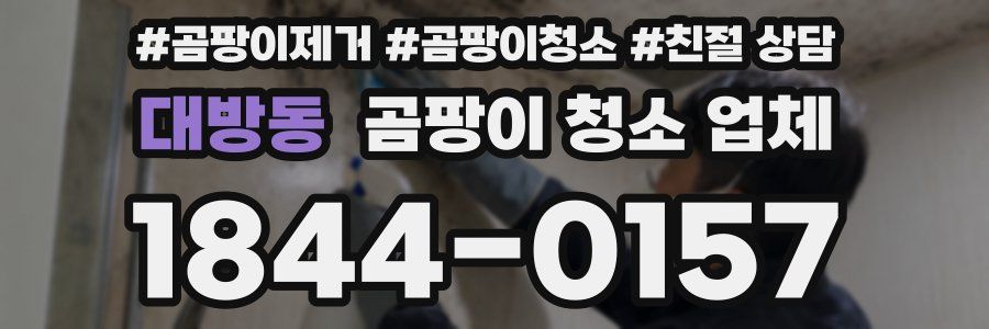 대방동 곰팡이 청소 업체
