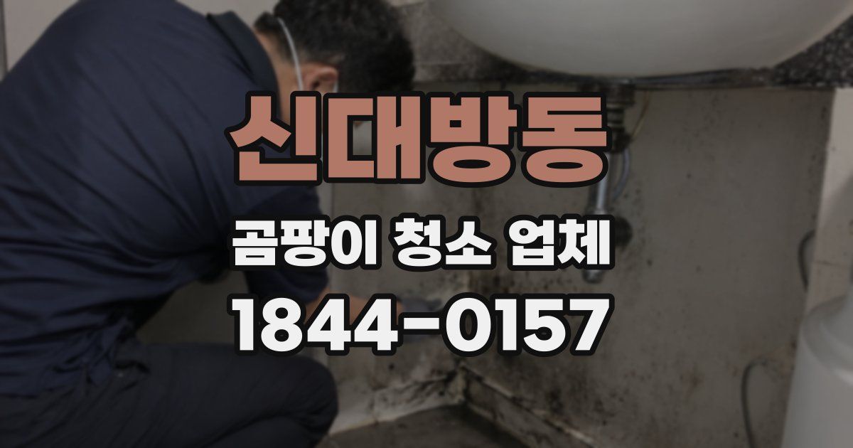 신대방동 곰팡이 청소 업체
