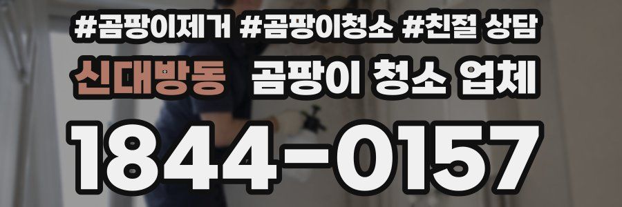 신대방동 곰팡이 청소 업체