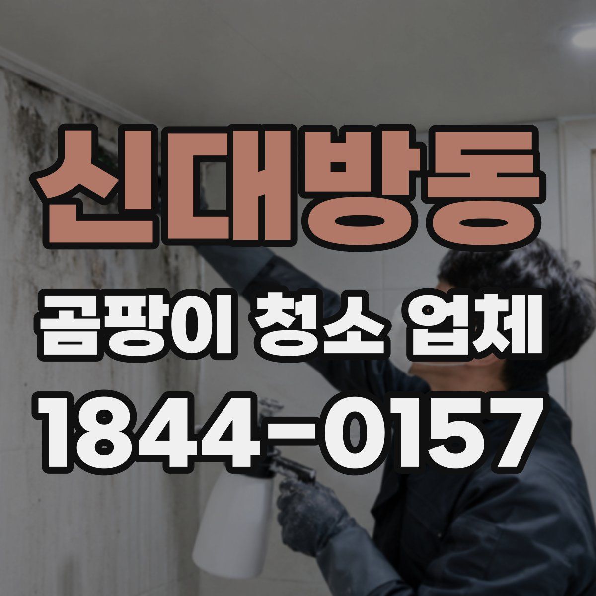 신대방동 곰팡이 청소 업체