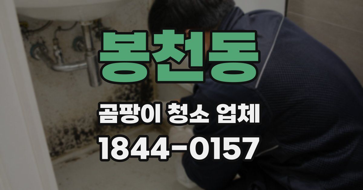 봉천동 곰팡이 청소 업체