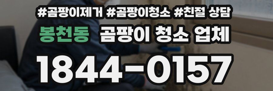 봉천동 곰팡이 청소 업체