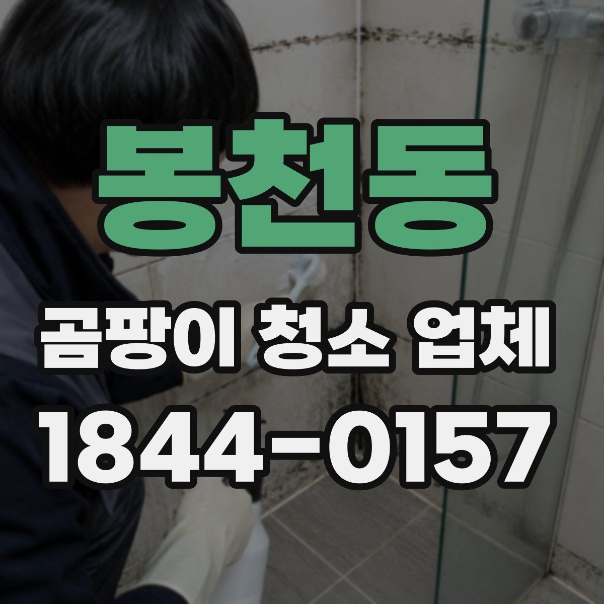 봉천동 곰팡이 청소 업체