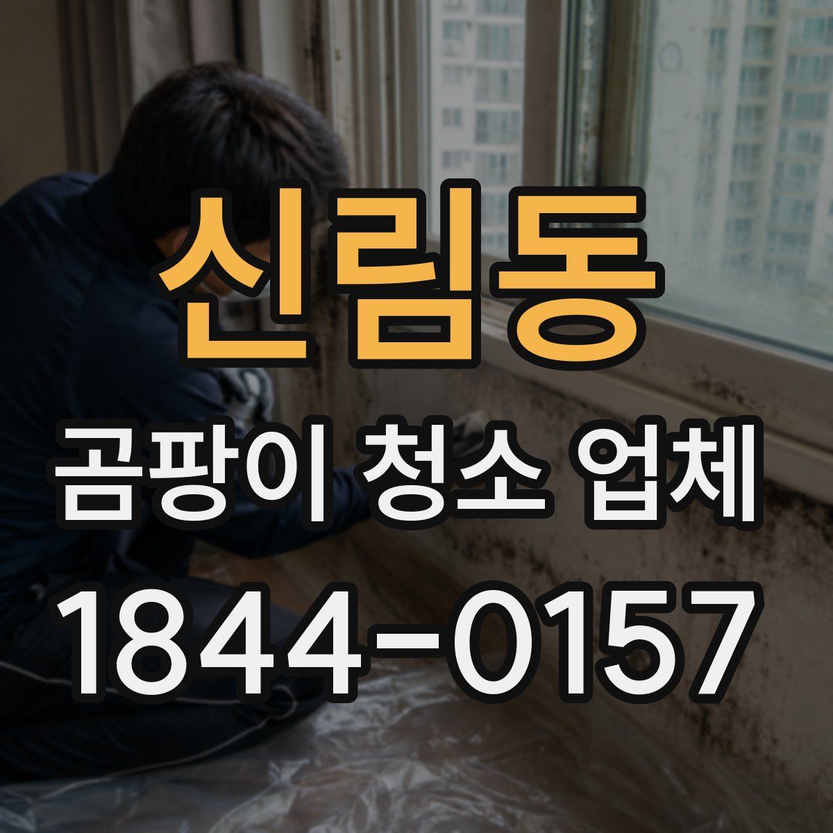 신림동 곰팡이 청소 업체