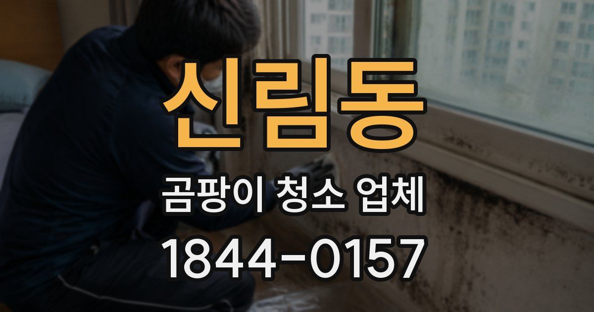 신림동 곰팡이 청소 업체