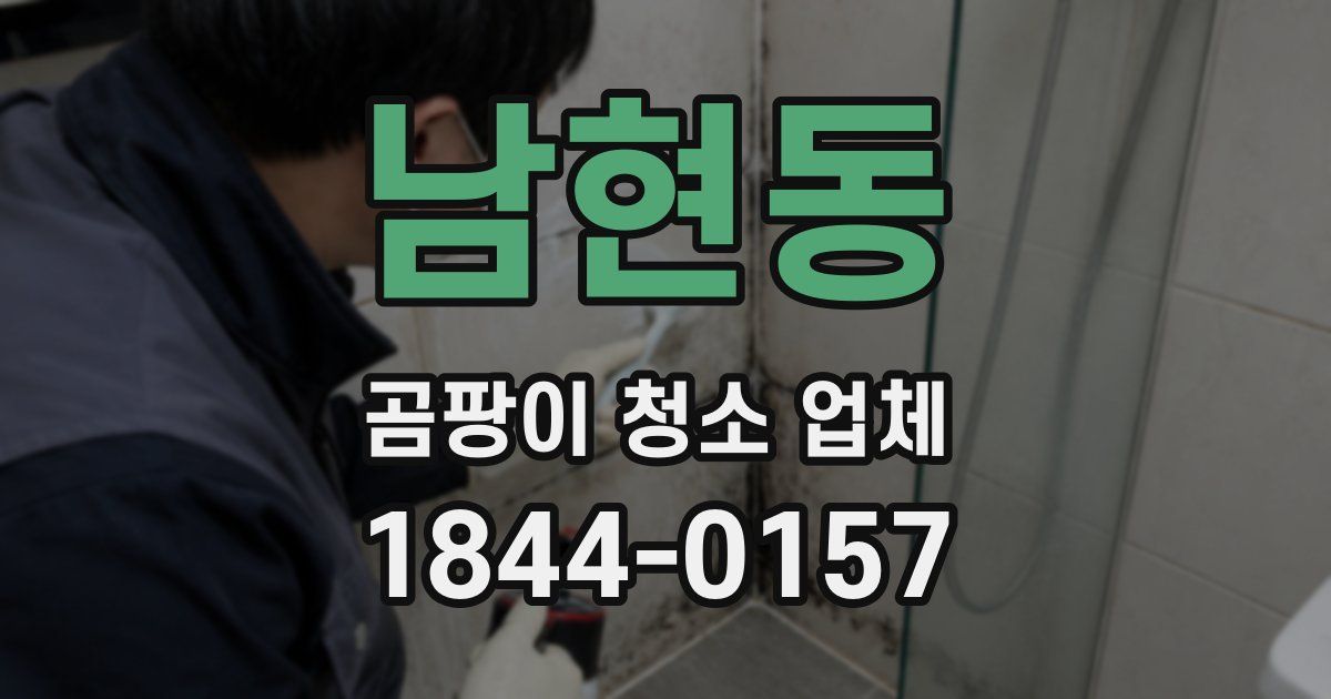 남현동 곰팡이 청소 업체